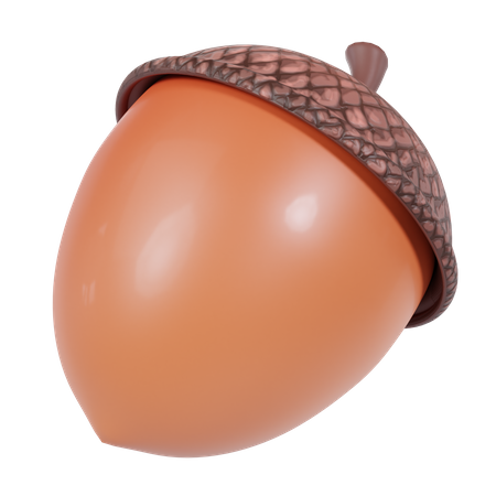 Acorn  3D Icon