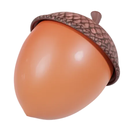 Acorn  3D Icon