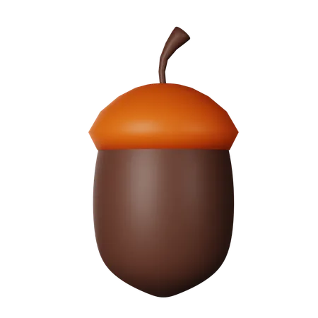 Acorn  3D Icon