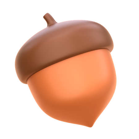 Acorn  3D Icon