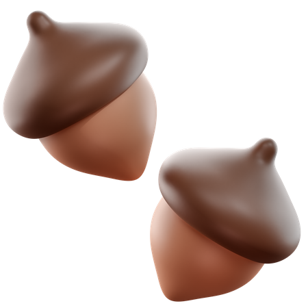 Acorn  3D Icon