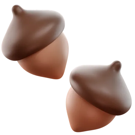 Acorn  3D Icon