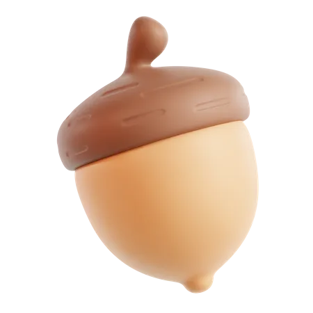 Acorn  3D Icon