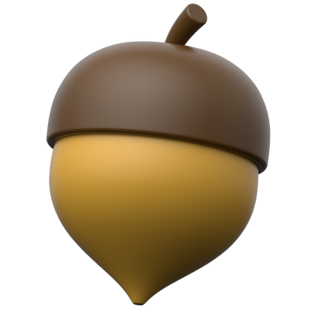 Acorn  3D Icon