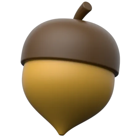 Acorn  3D Icon