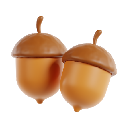 Acorn  3D Icon