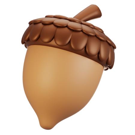 Acorn  3D Icon