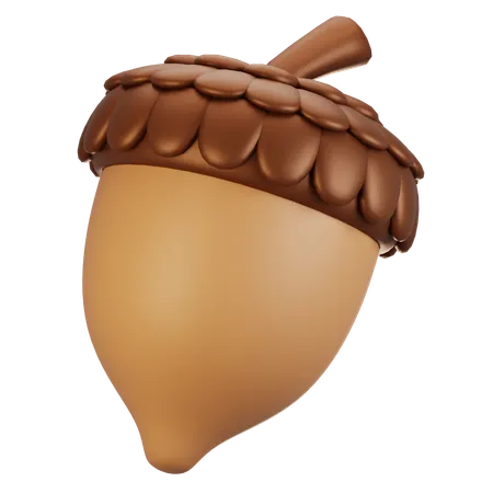 Acorn  3D Icon