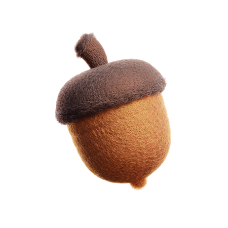 Acorn  3D Icon