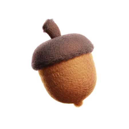 Acorn  3D Icon