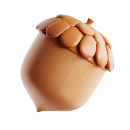 Acorn  3D Icon