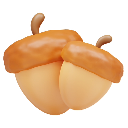 Acorn  3D Icon