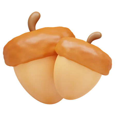 Acorn  3D Icon