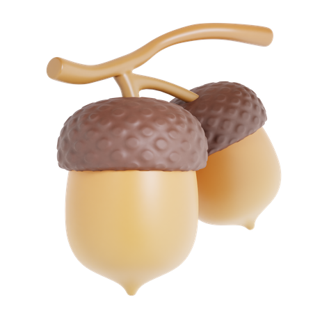 Acorn  3D Icon