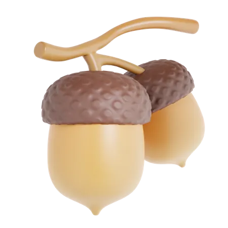 Acorn  3D Icon