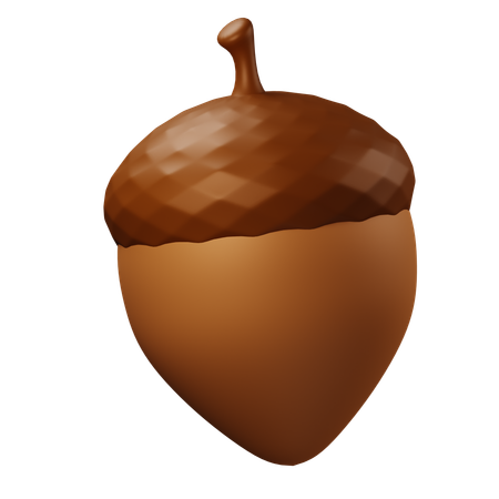 Acorn  3D Icon