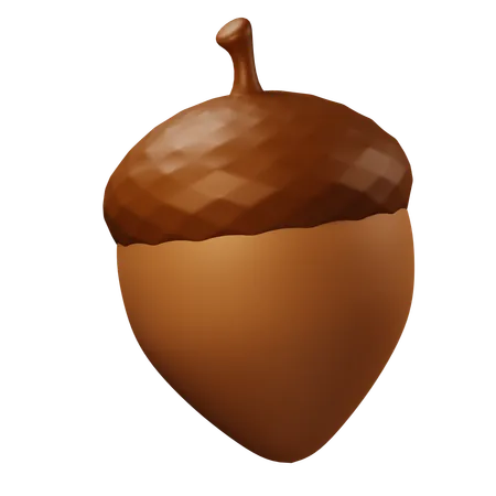 Acorn  3D Icon