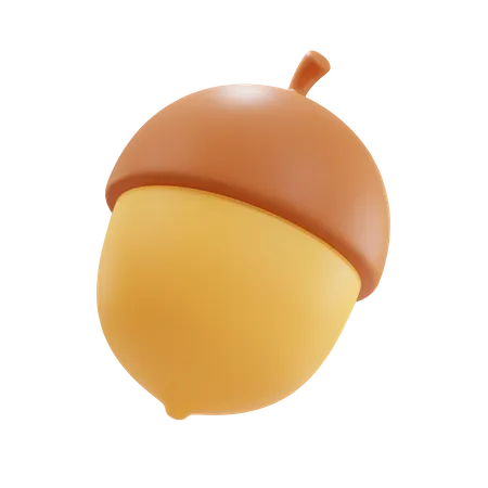 Acorn  3D Icon