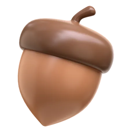 Acorn  3D Icon