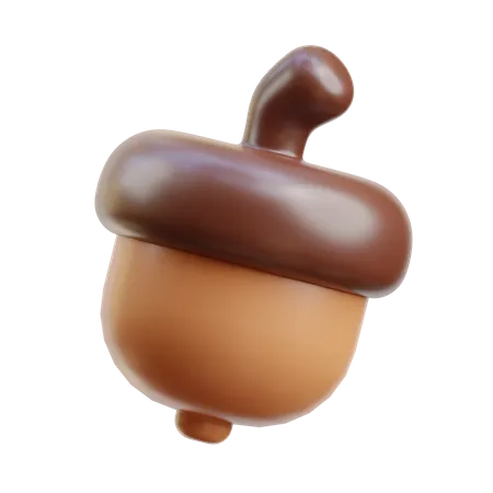 Acorn  3D Icon