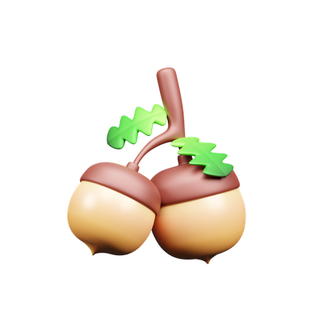 Acorn  3D Icon