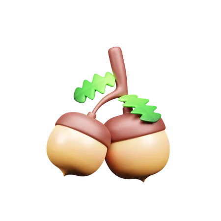 Acorn  3D Icon