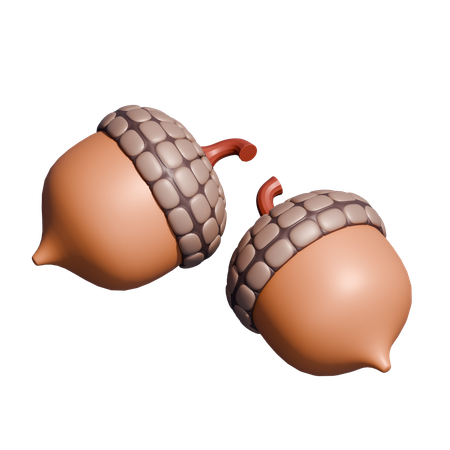 Acorn  3D Icon
