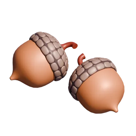 Acorn  3D Icon