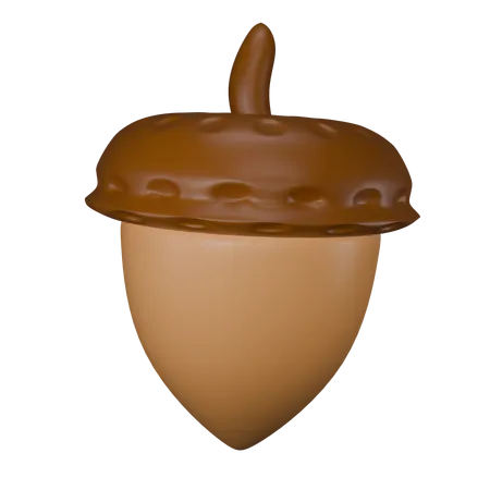 Acorn  3D Icon