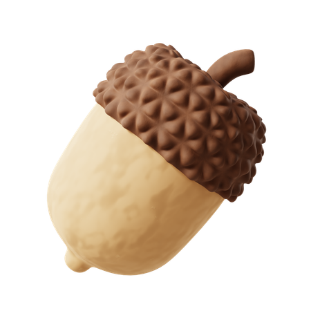 Acorn  3D Icon