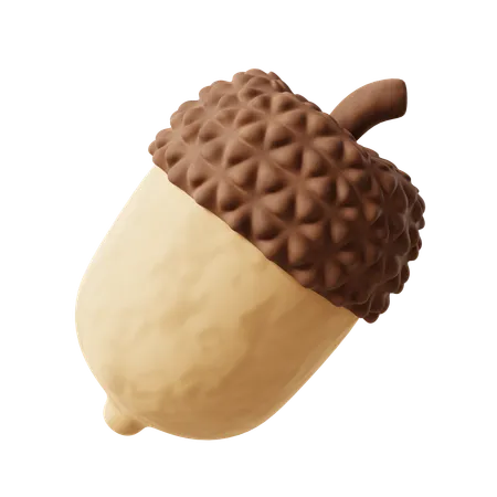 Acorn  3D Icon