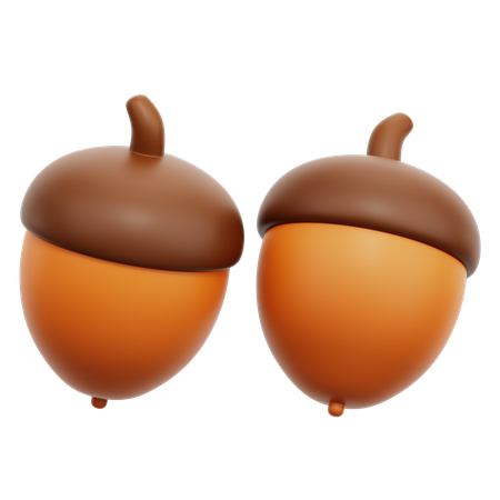 Acorn  3D Icon