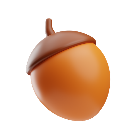 Acorn  3D Icon