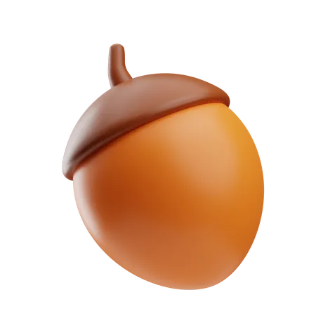 Acorn  3D Icon