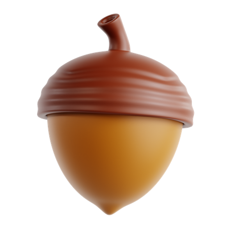 Acorn  3D Icon