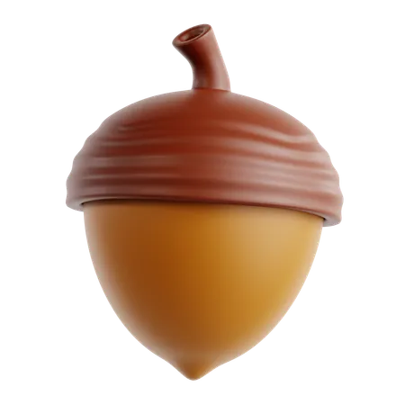 Acorn  3D Icon