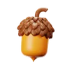 Acorn