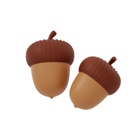 Acorn  3D Icon