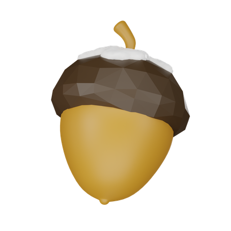 Acorn  3D Icon