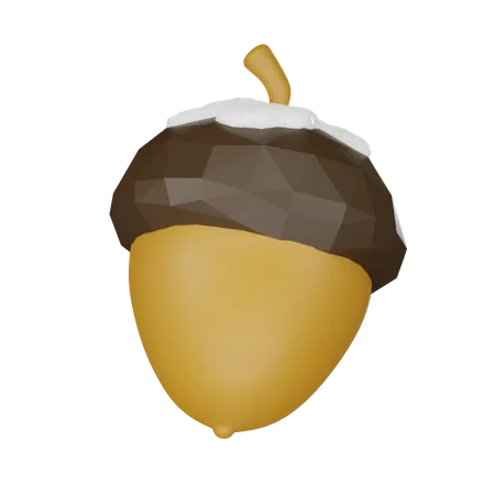 Acorn  3D Icon