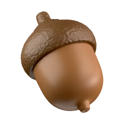 Acorn  3D Icon