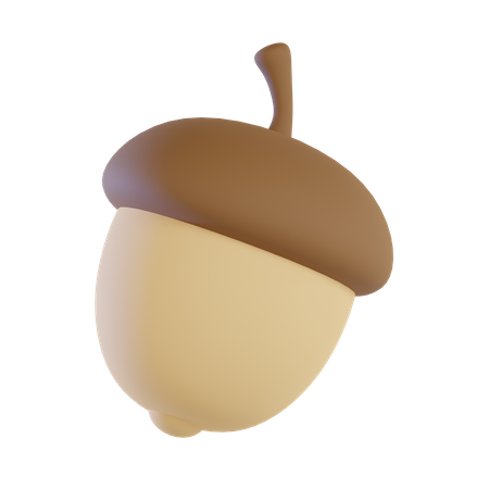 Acorn  3D Icon