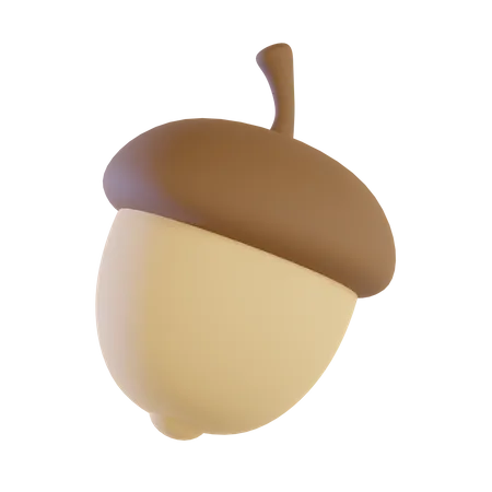 Acorn  3D Icon