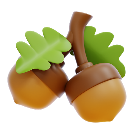 Acorn  3D Icon