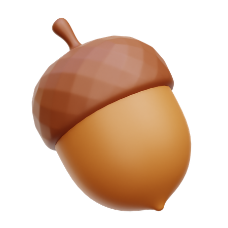 Acorn  3D Icon