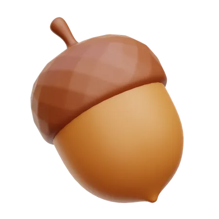 Acorn  3D Icon