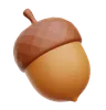 Acorn