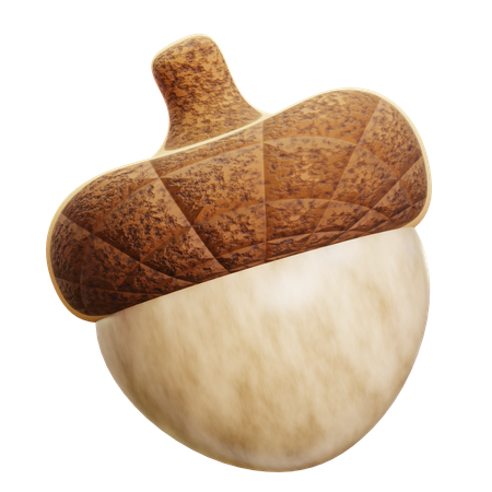 Acorn  3D Icon