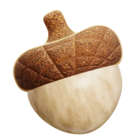 Acorn  3D Icon