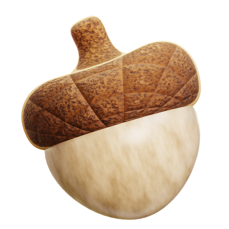 Acorn  3D Icon